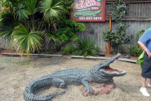 Swamp Tour - New Orleans